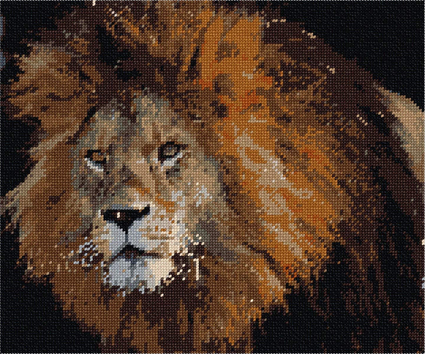 Amazon.com: Pepita Needlepoint kit: Lion Up Close, 12